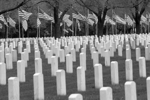 Ft. Snelling flags