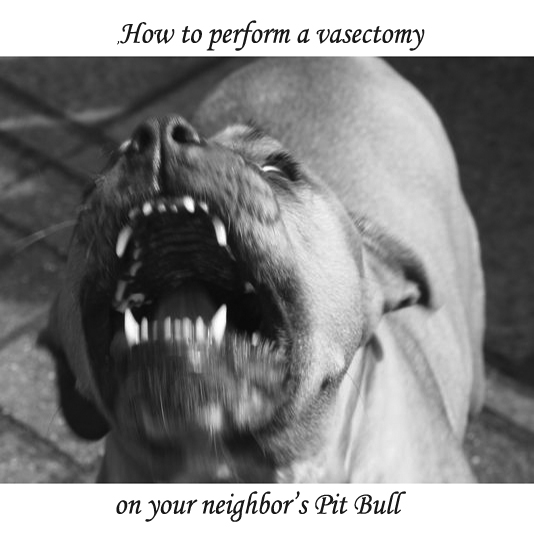 The story about the 26 foot turd by that Woman in Michigan is just not true! or, “How to perform a vasectomy on your neighbor’s Pit Bull”
