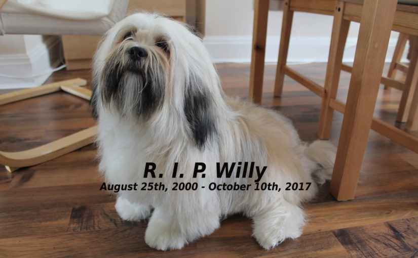 My dog “Willy” died this morning, I’m sooooo sad