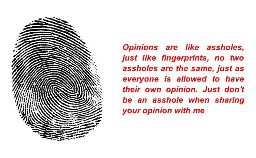 Fingerprints and Assholes, no two are the same